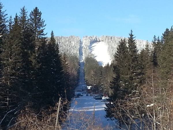 Puteshestvennik Guest House主图