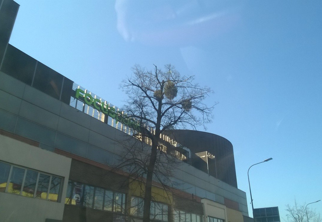 Focus Mall Rybnik景点图片