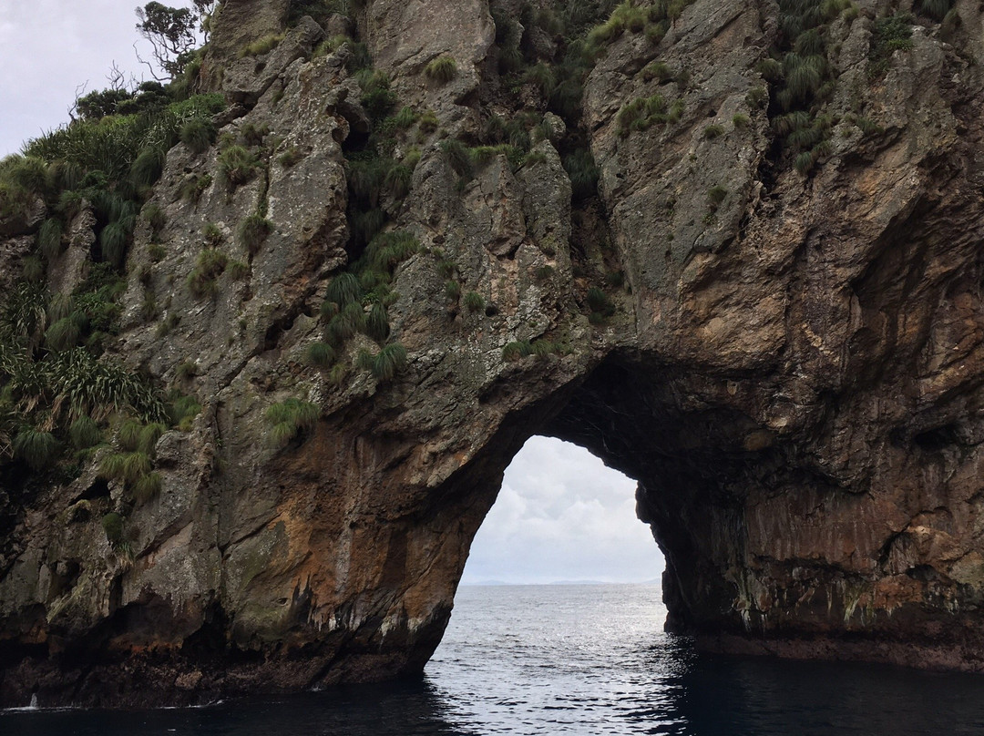 RV Acheron-Tutukaka必去景点