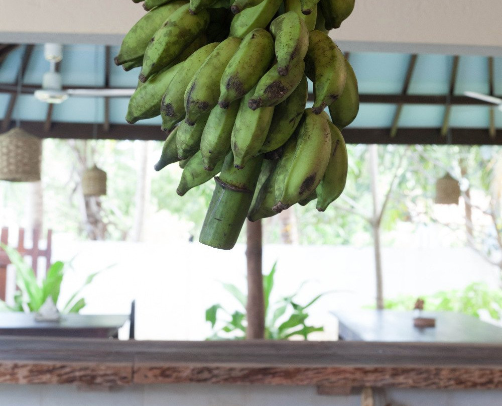 East Surf Cabanas主图