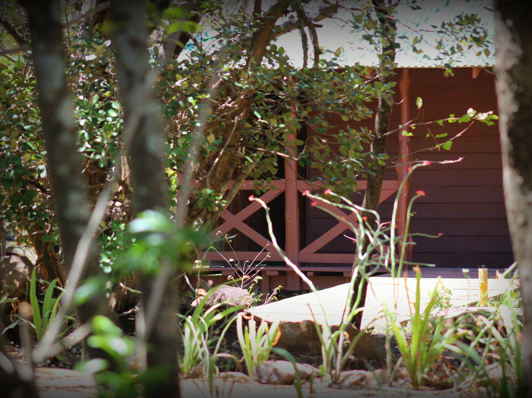 Simbiosis Volcanic Mud Springs and Spa主图