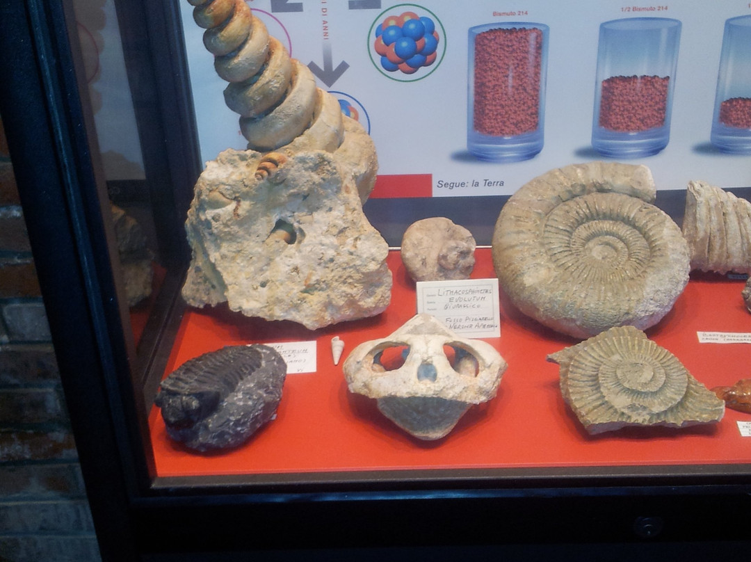 Museo dei Fossili e Minerali del Monte Nerone景点图片
