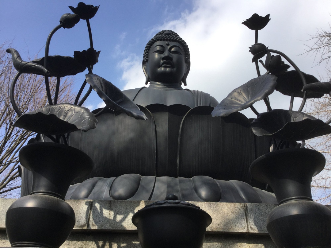 Jorenji Temple (Tokyo Daibutsu)景点图片