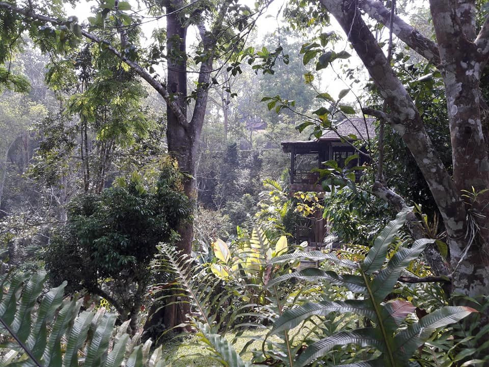 32 Coffee Hill & Resort主图