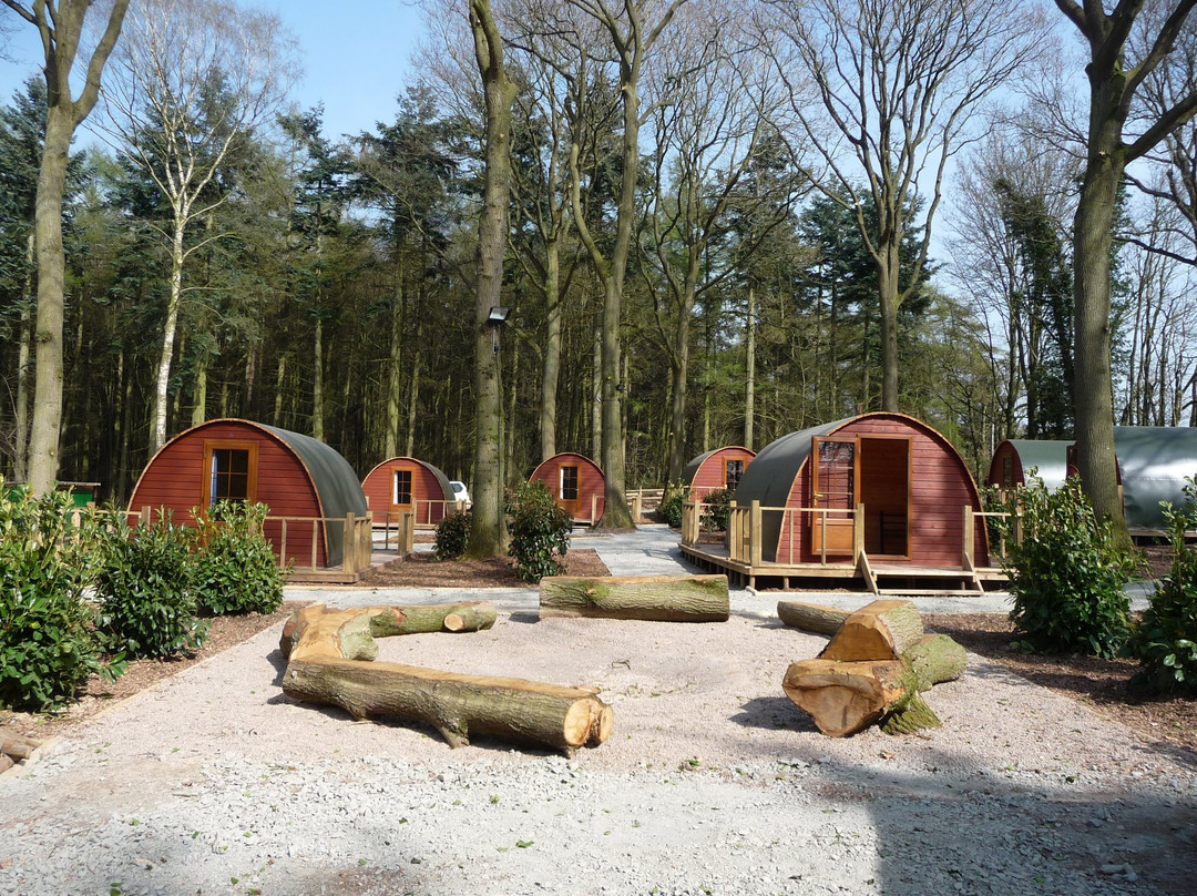 Oaker Wood Leisure景点图片