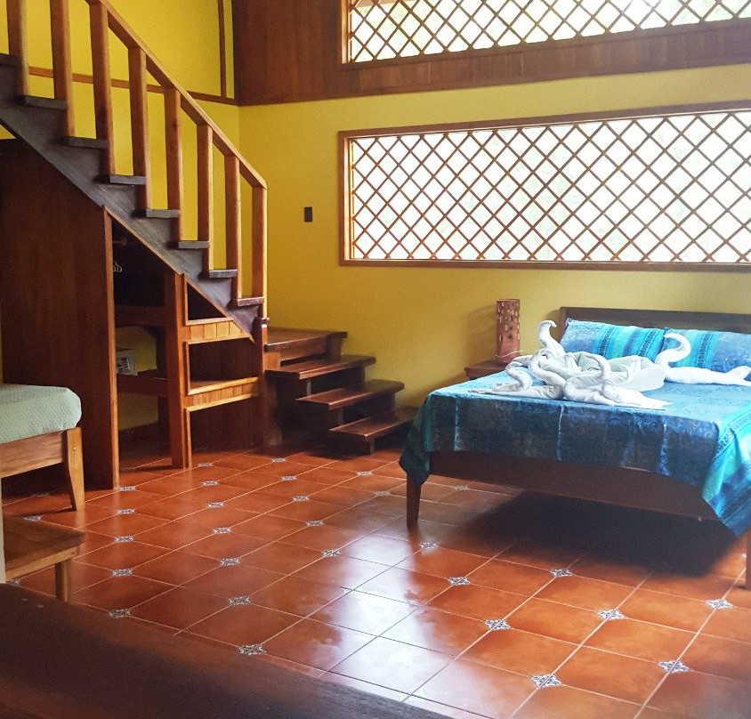 Casa Merlin - Costa Rica主图