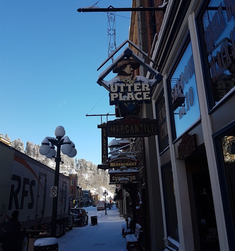 The Hotel By Gold Dust主图