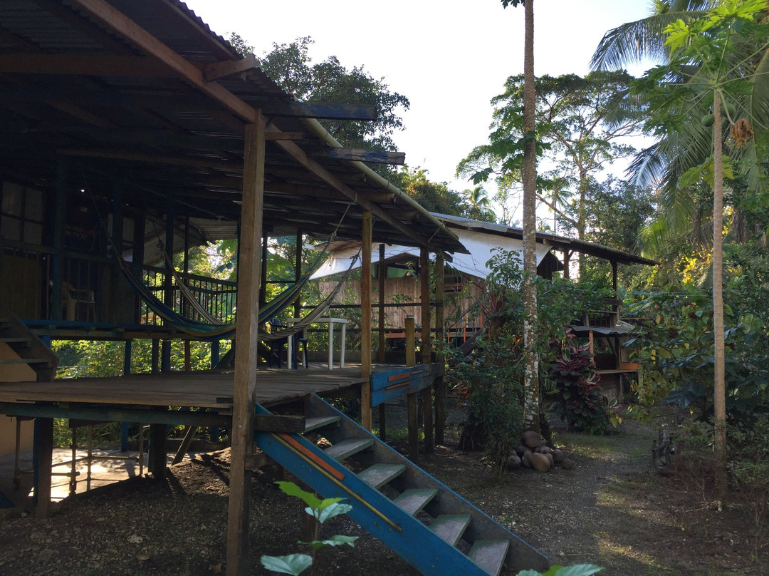 Selva Cielito