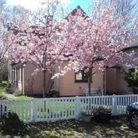 Pegasus B&B