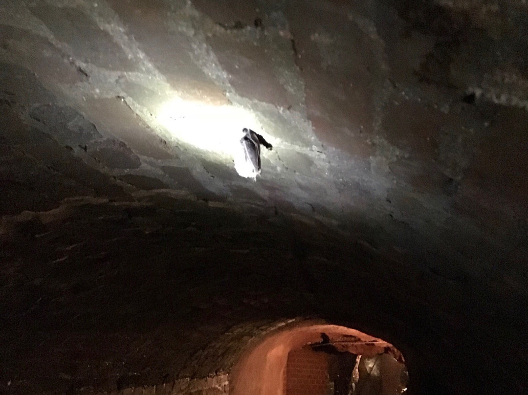 Tannenberg旅游攻略图片