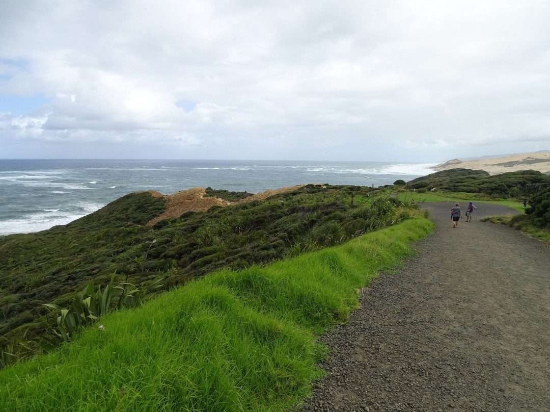 Waimamaku Coastal Track景点图片