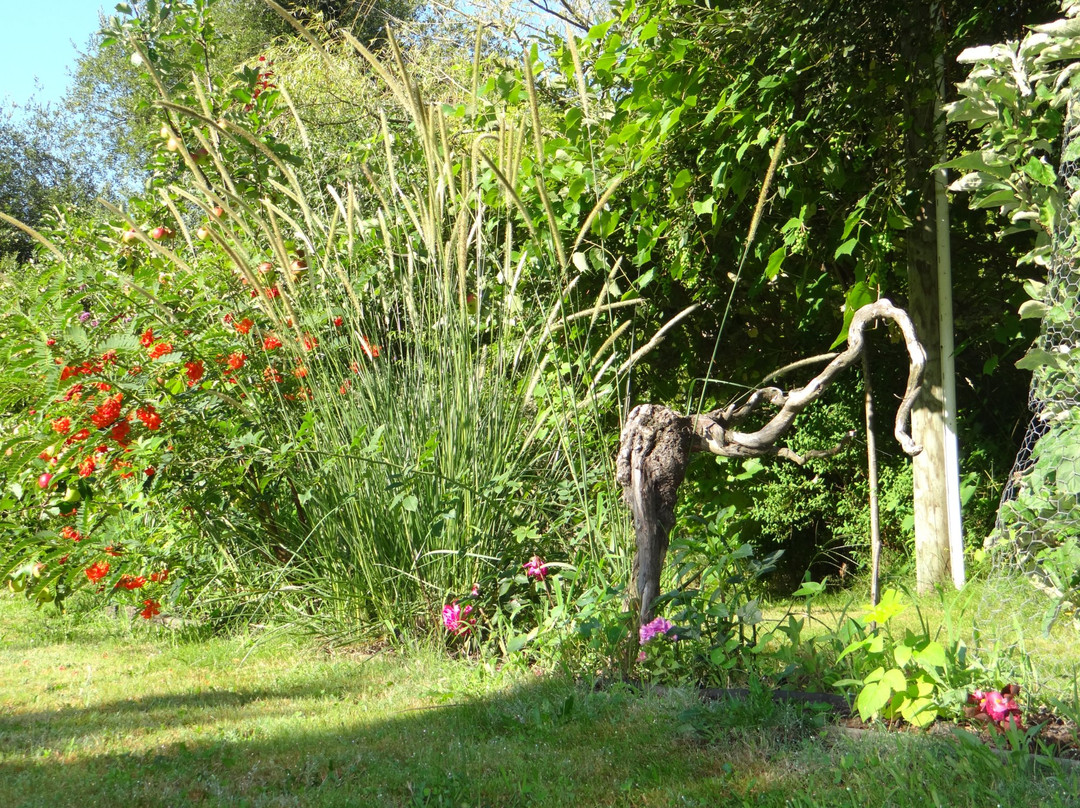 Jardins secrets主图