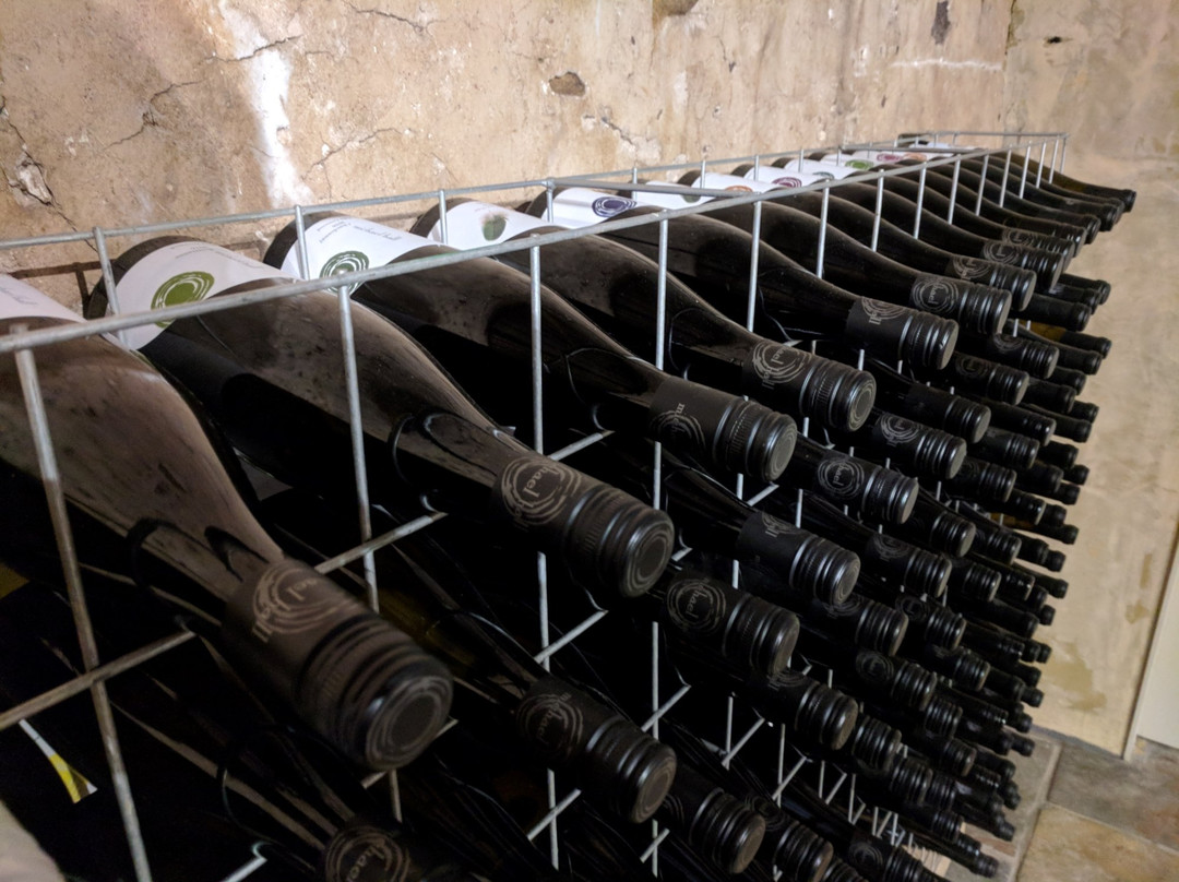 Michael Hall Wines景点图片