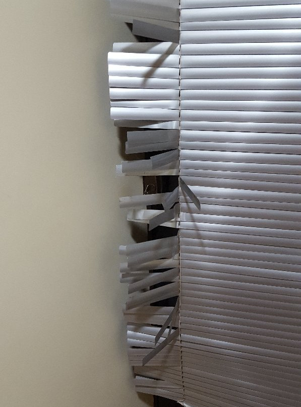 Paraiso Das Orquideas主图