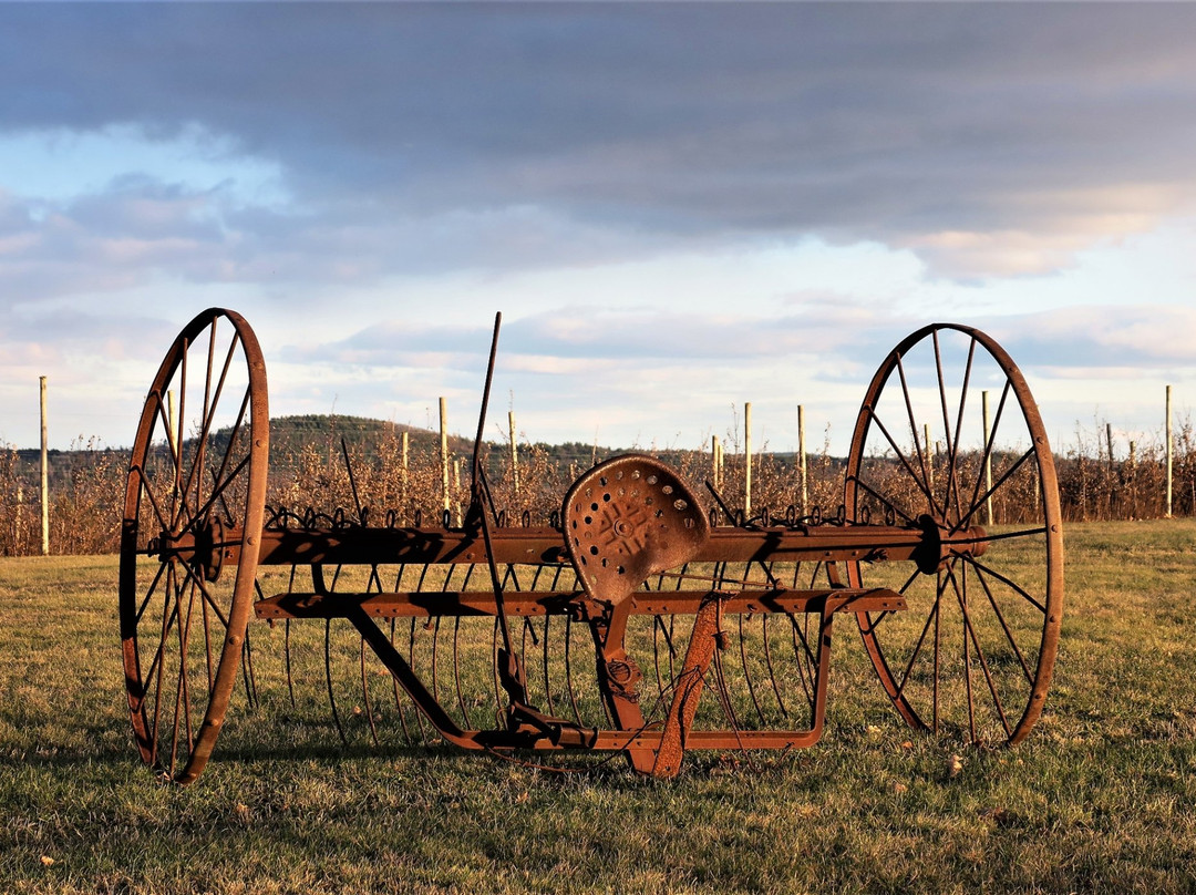 Vista of Maine Vineyard & Cidery Tasting Room-Greene必去景点