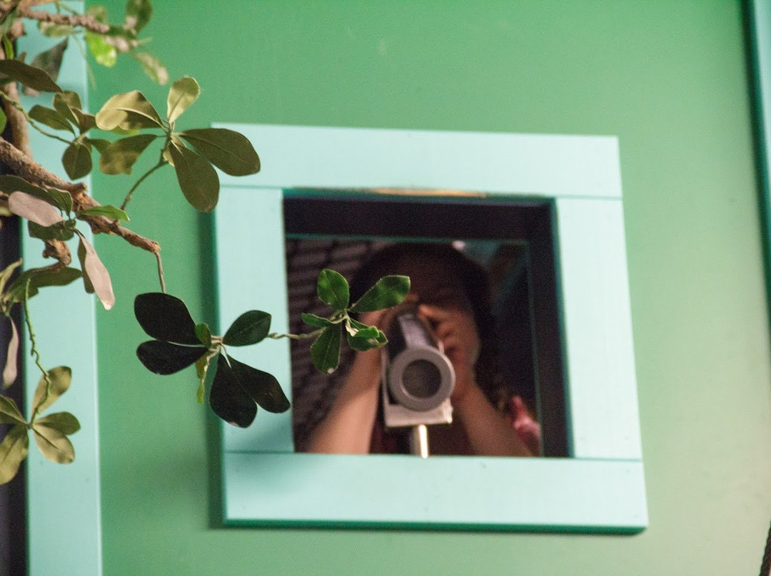 Building for Kids-阿普尔顿必去景点