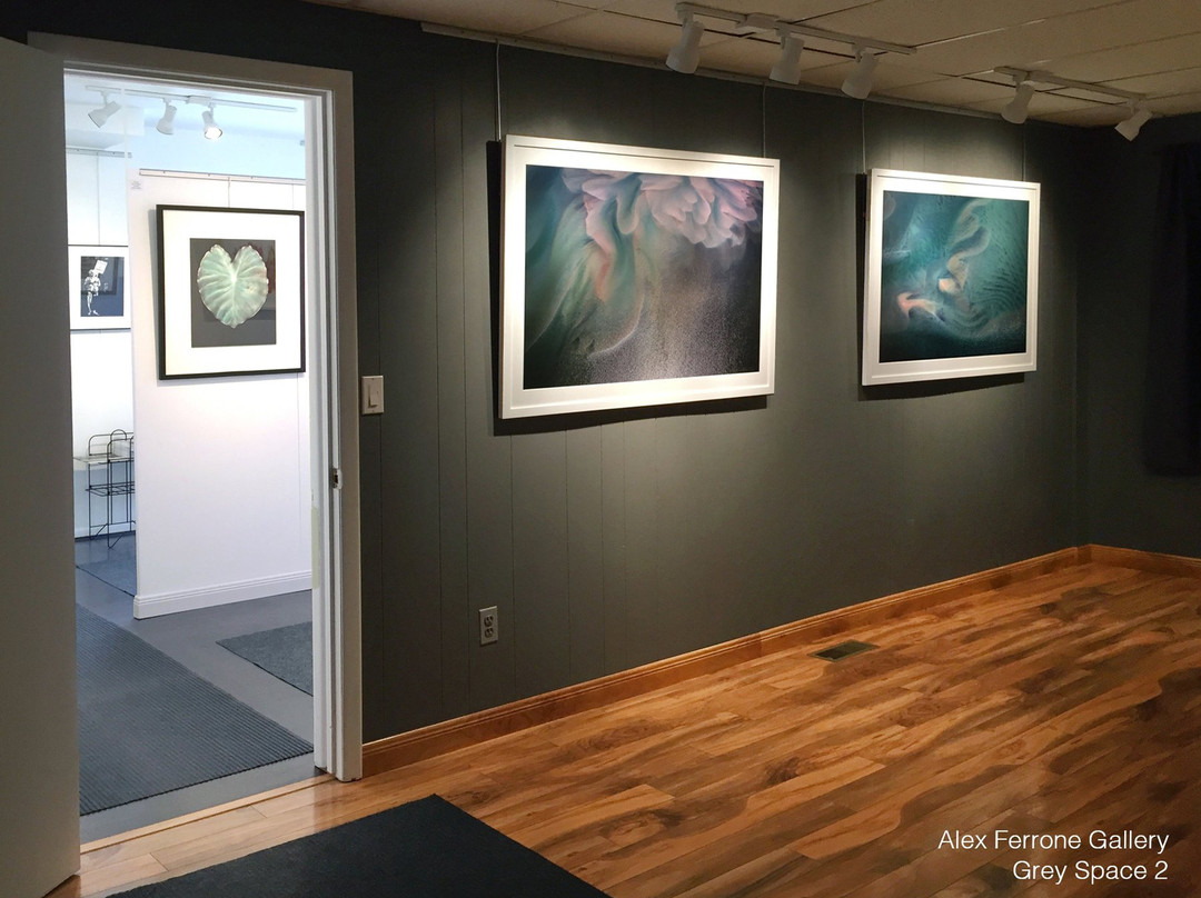 Alex Ferrone Gallery景点图片