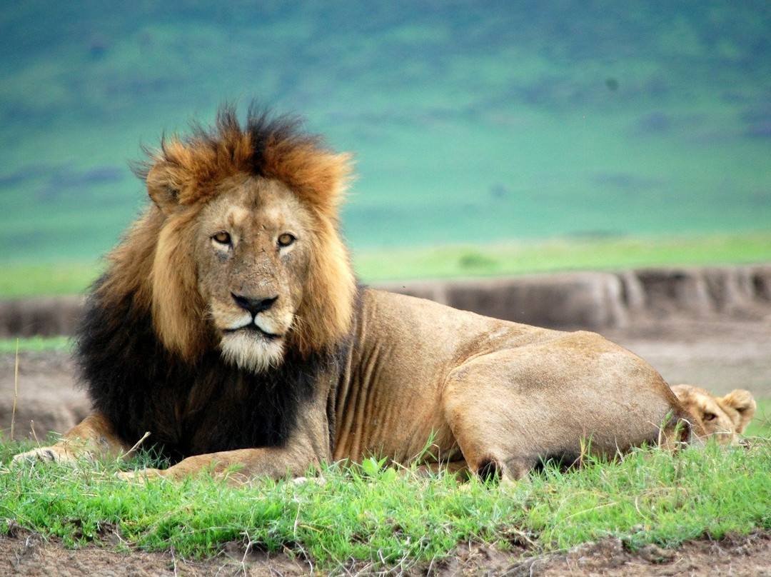 Worldwide Safaris Tanzania-阿鲁沙必去景点