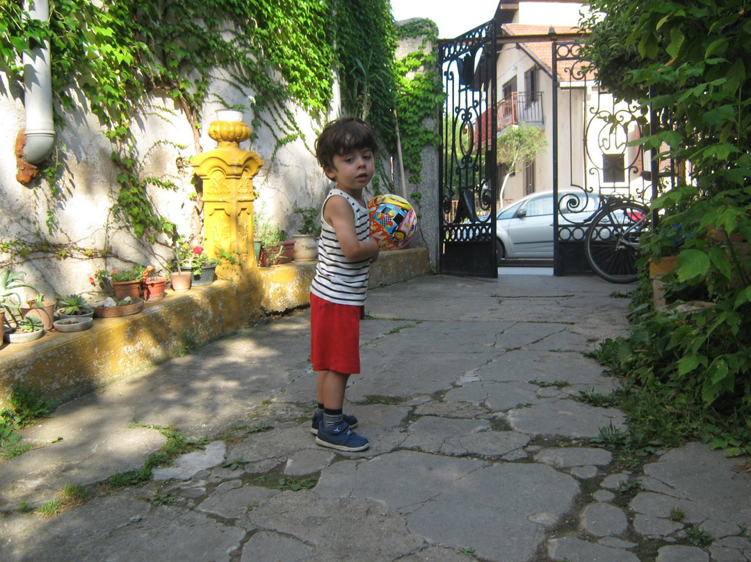 Guesthouse Stanisavljevic主图