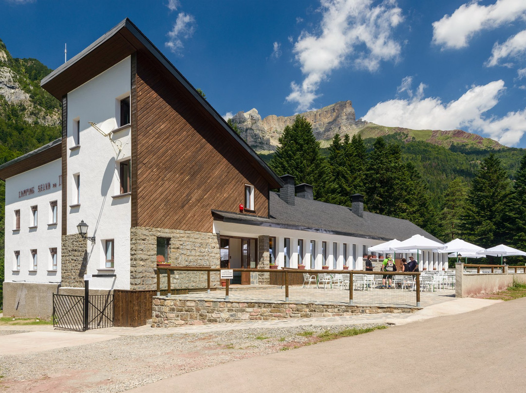 Camping Selva de Oza