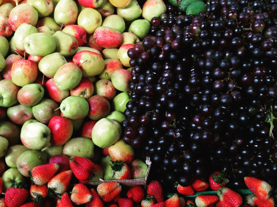 Chasing Plazas-波哥大必去景点