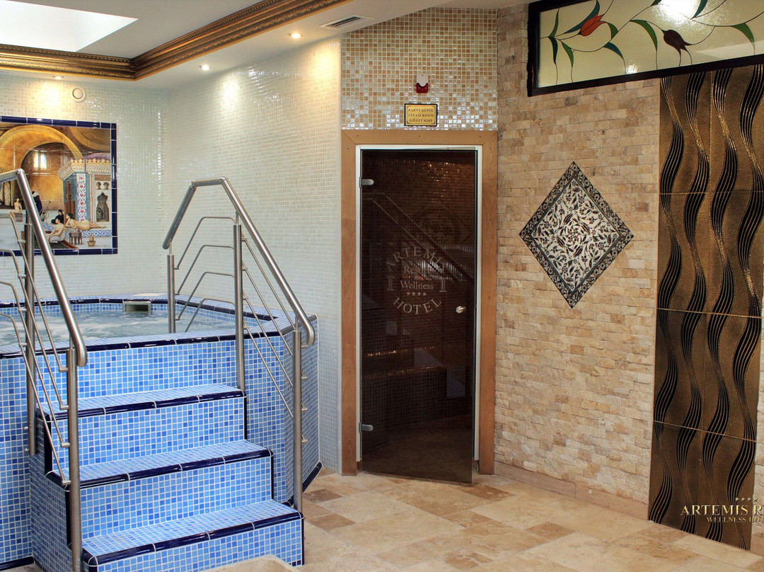 Artemis Resort Wellness Hotel主图