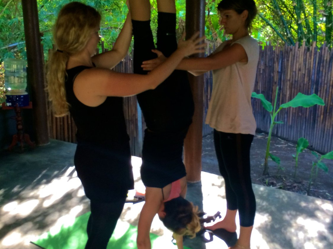 Coconut Yoga景点图片