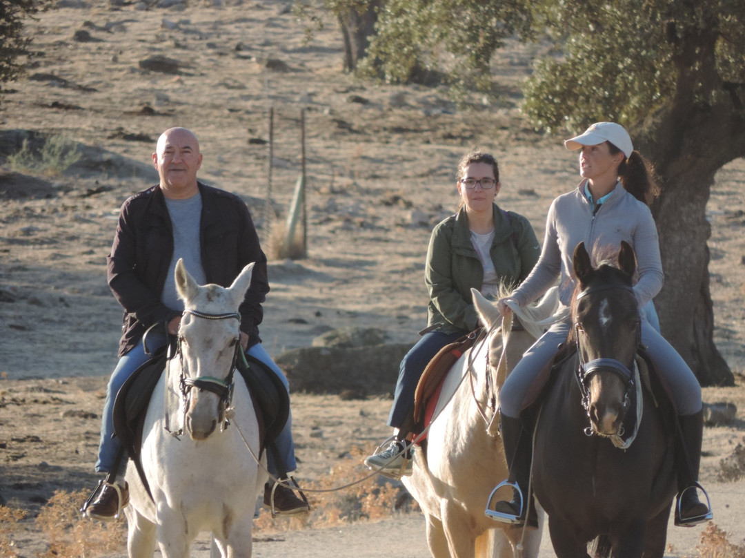 Activities Barbancho - Horseback Riding景点图片