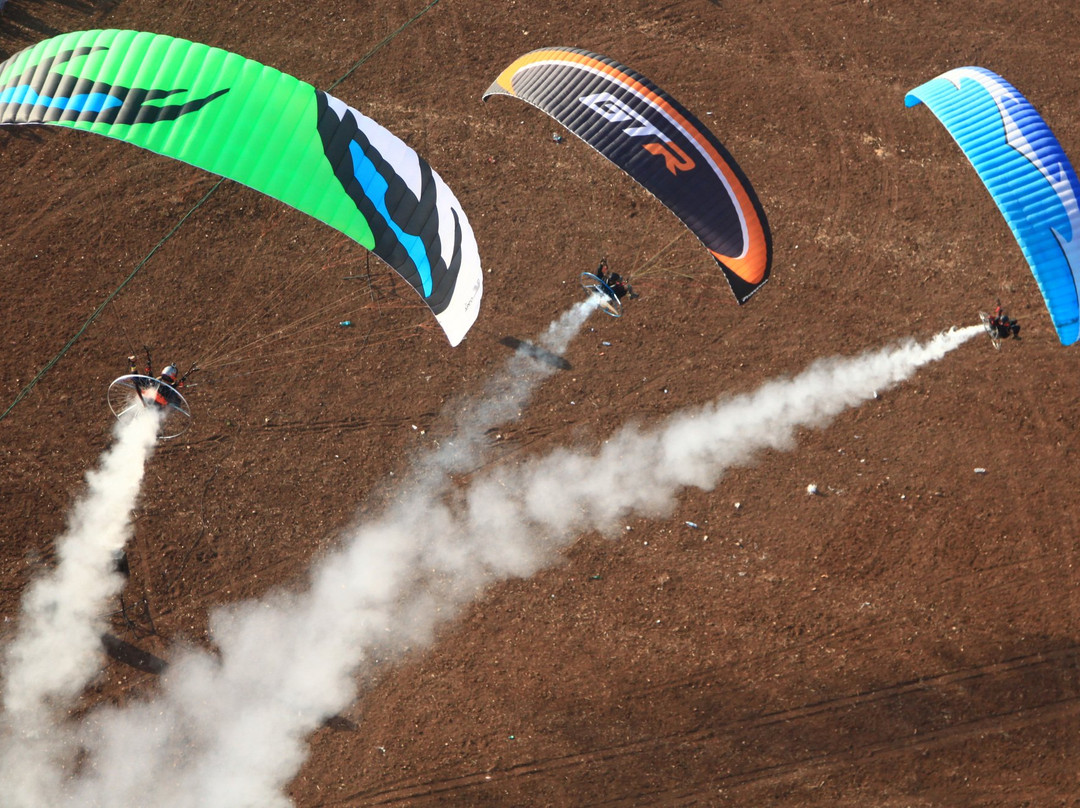 7 Winds Tandem Paragliding-Netanya必去景点