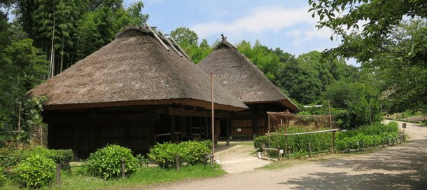 Open-Air Museum of Old Japanese Farm Houses-丰中市必去景点