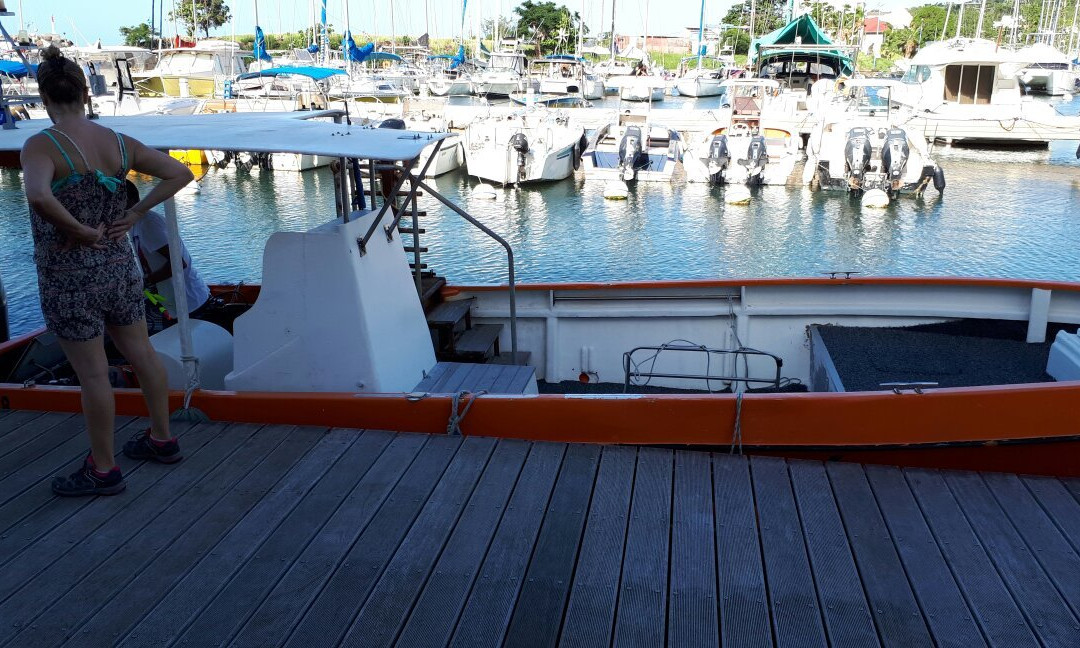 Infini Plongee-Basse-Terre必去景点