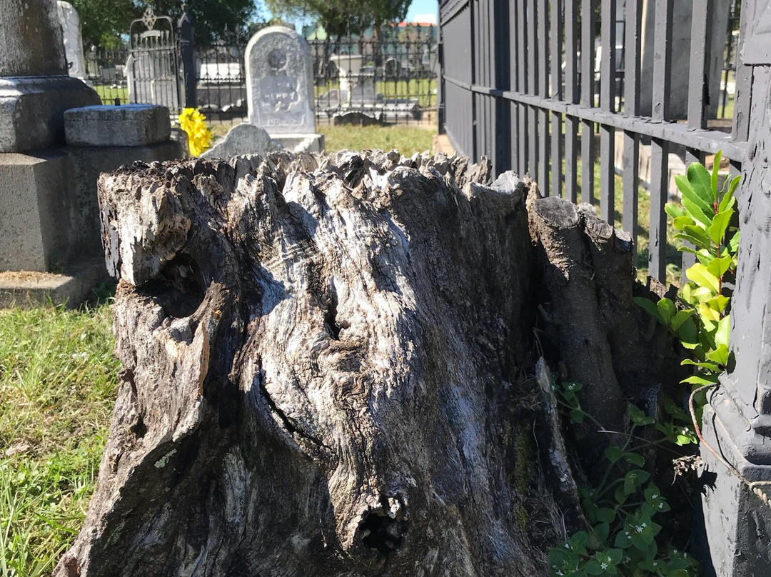 St. Michael's Cemetery景点图片