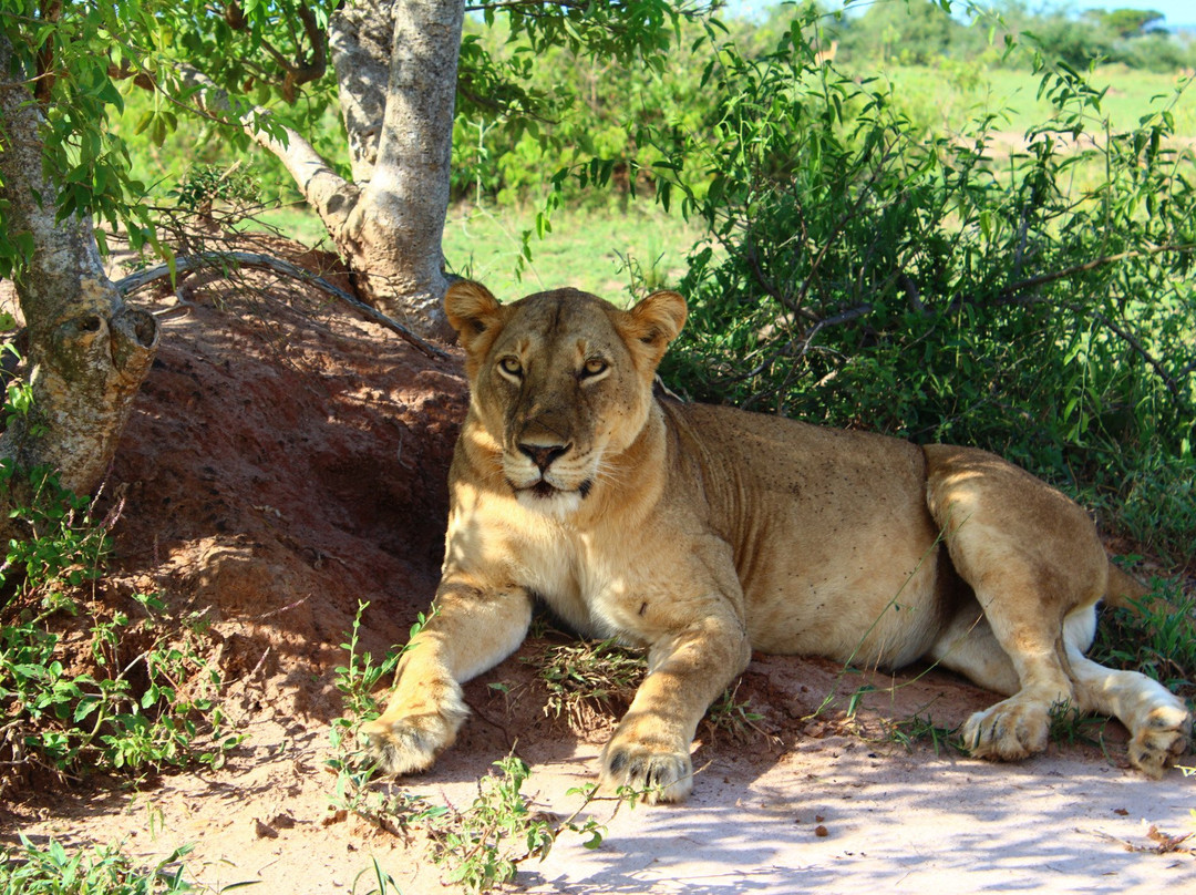 BIC Tours-坎帕拉必去景点