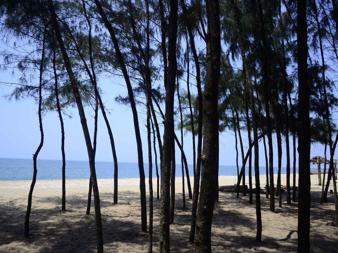 Kuzhupilly Beach景点图片