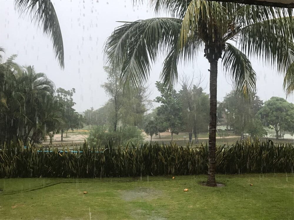 Vallazoo-巴利亚多利德必去景点