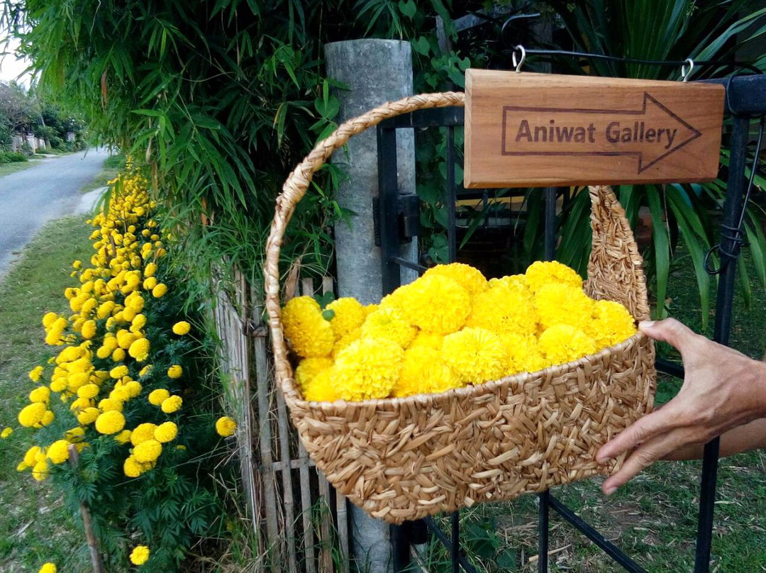 Aniwat Gallery @Chiang Mai-夜林必去景点