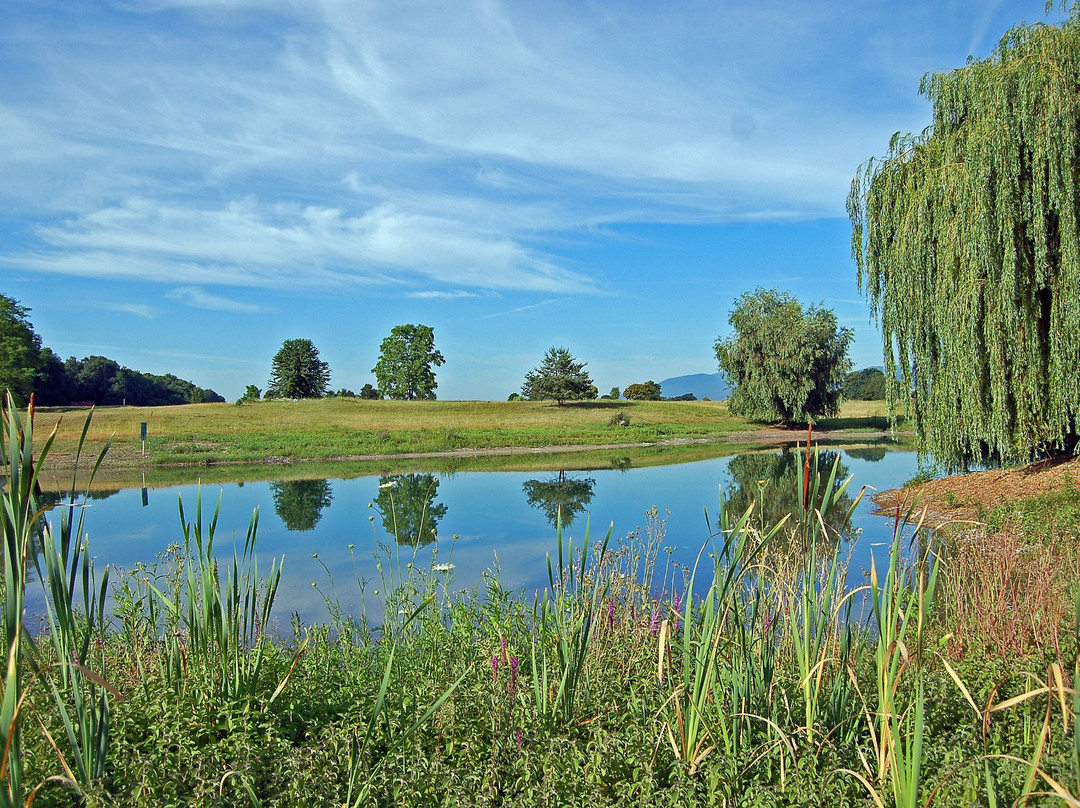 Alsace Golf Links景点图片