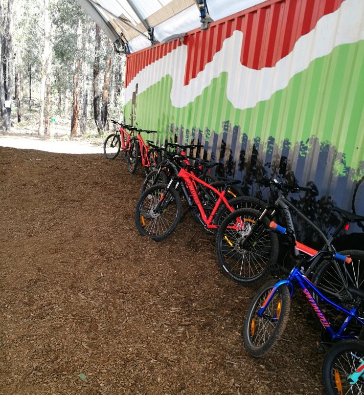 Kinglake Forest Adventures-Kinglake必去景点