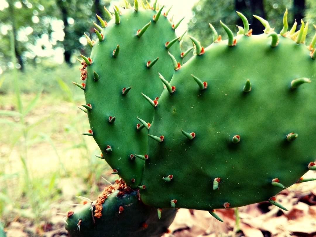 Lake McMurtry Natural Resource and Recreation Area-斯蒂尔沃特必去景点