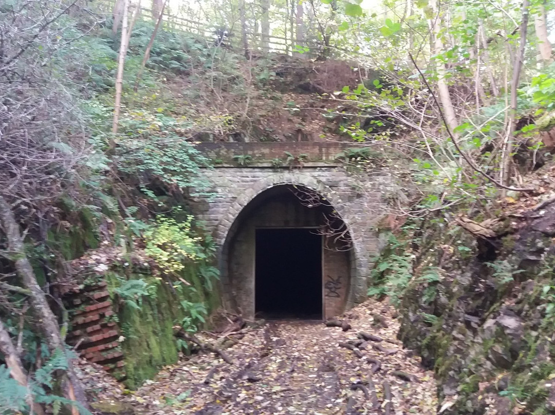 Tweed Valley Railway Path景点图片