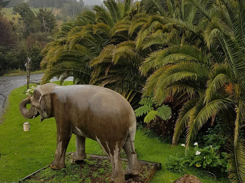 Labyrinth Woodworks and Puzzle Museum-Omapere必去景点