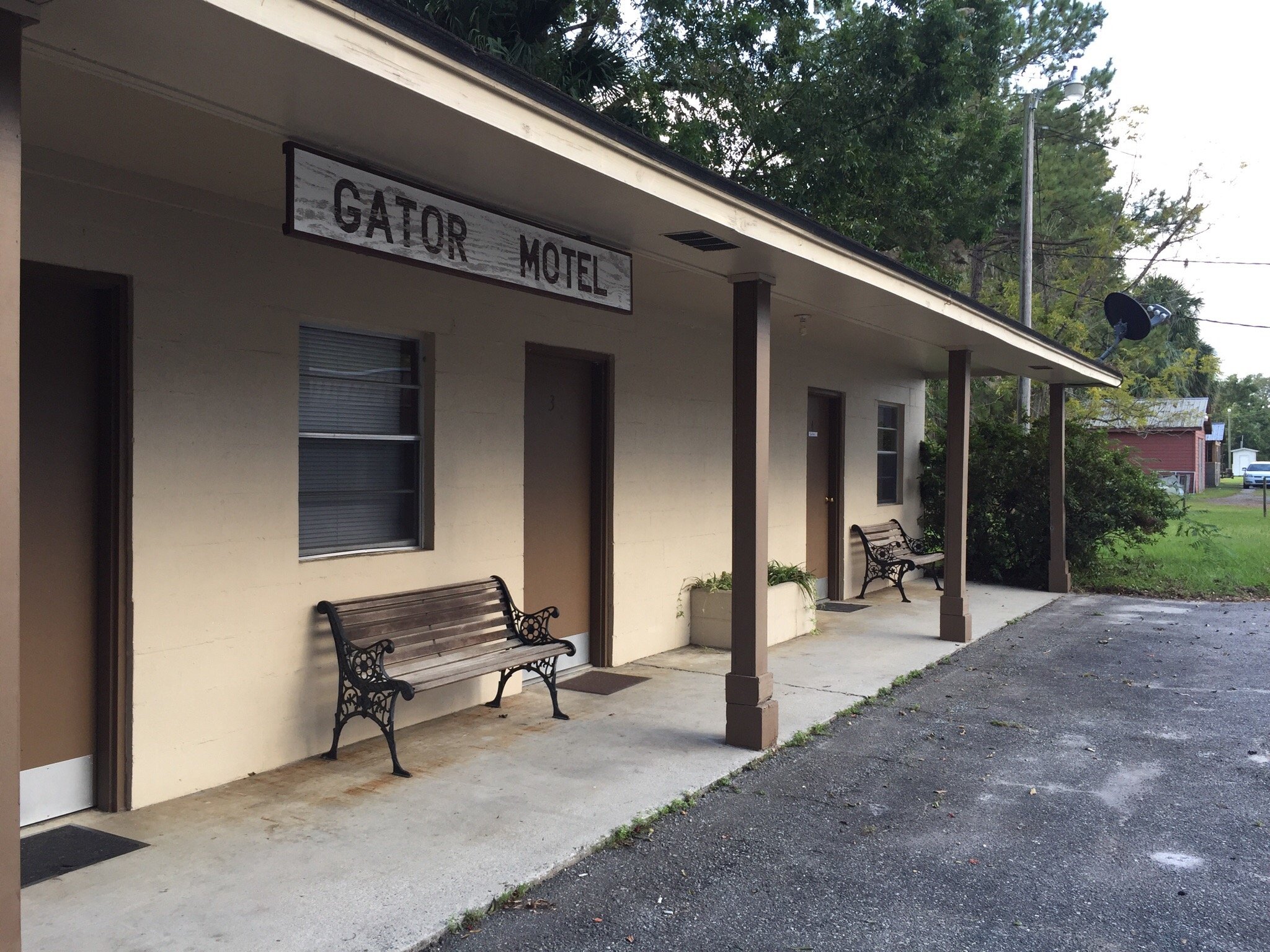 Gator Motel-官方