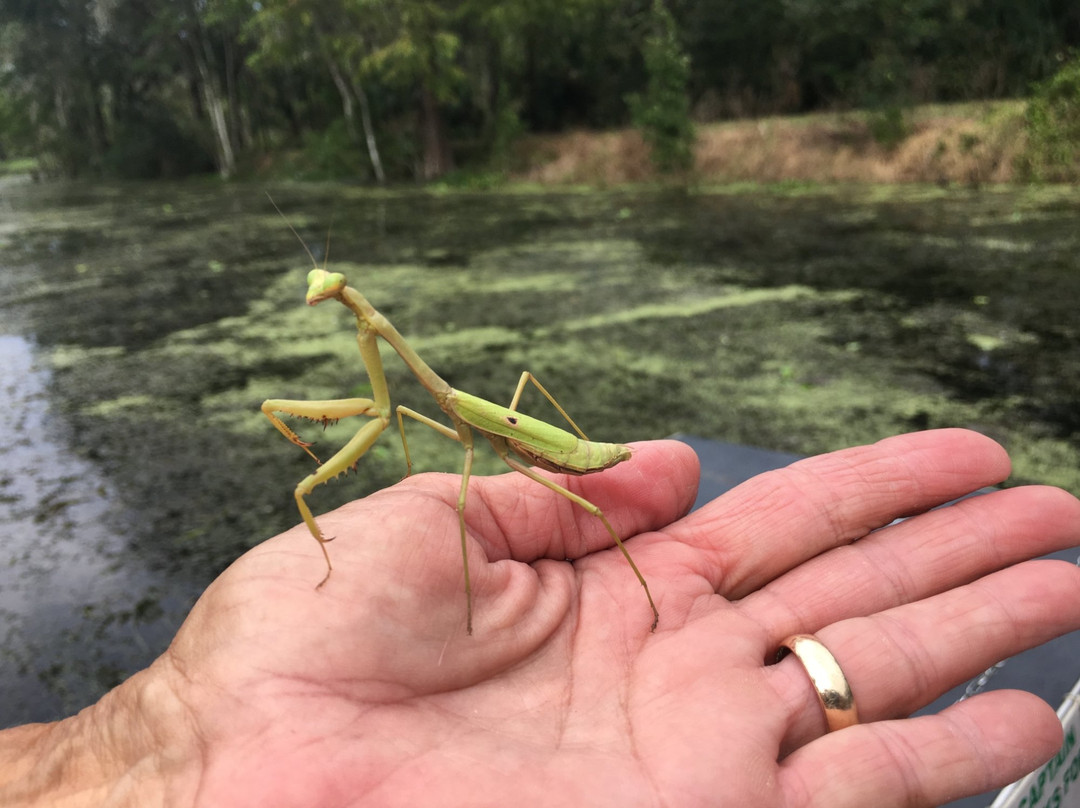 BJ's Airboat Adventures-Lake Panasoffkee必去景点