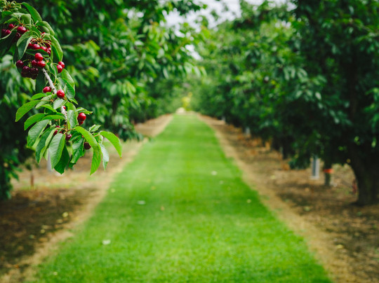 Genuinely Extraordinary Southern Forests Food and Farm Experience-Manjimup必去景点