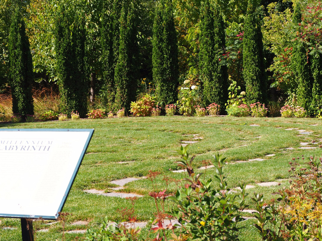 Millennium Garden-Plymouth必去景点