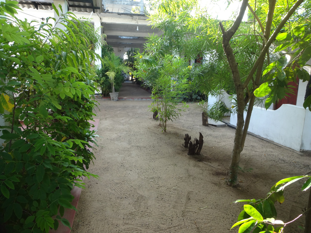 Panama酒店住宿-Coco Loco