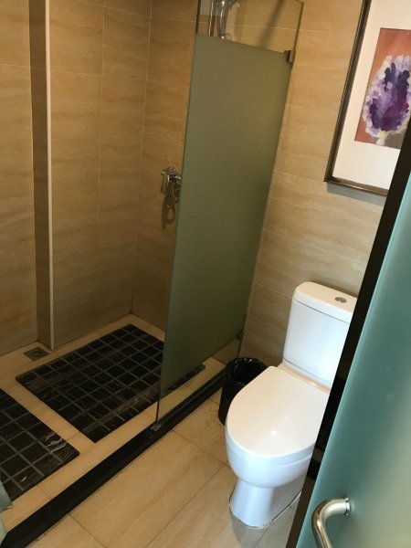 麗枫酒店·天津国展店-浴室