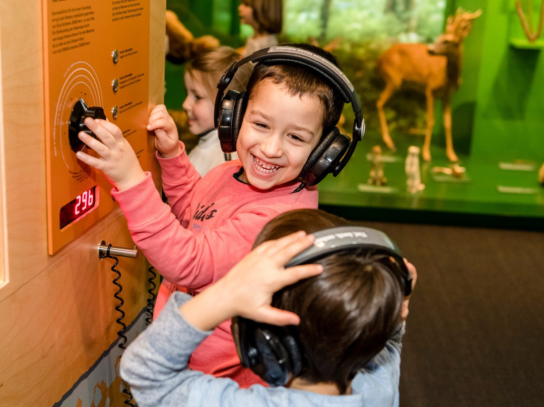 Naturmuseum Solothurn-Soleure必去景点