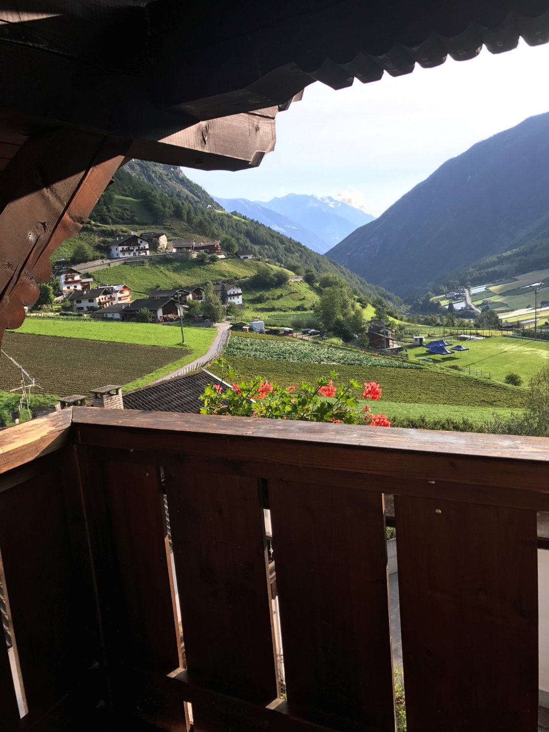 Gasthof Edelweiss-酒店景观