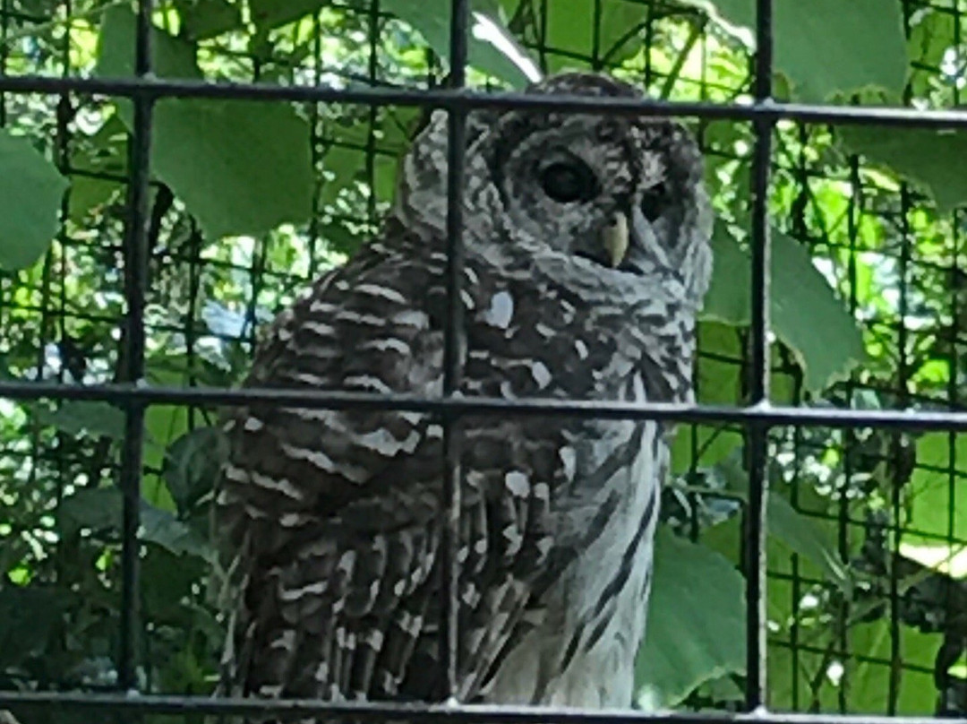 Trevor-Lovejoy Zoo-Millbrook必去景点